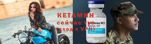 сатива Россошь