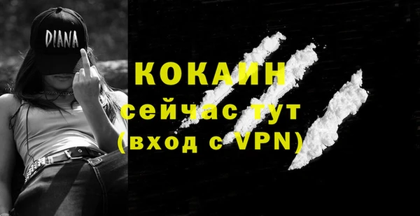 сатива Россошь