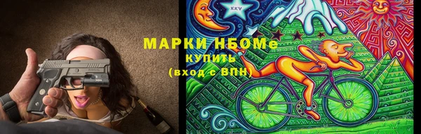 сатива Россошь