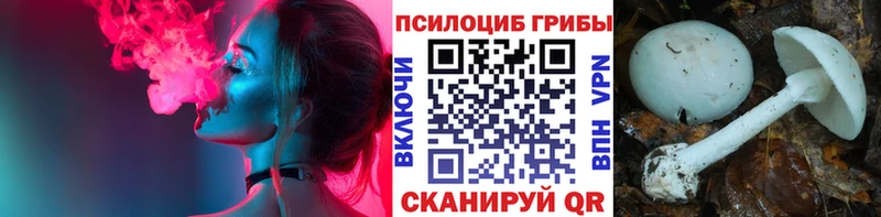 Галлюциногенные грибы мицелий  Купить  Томмот 